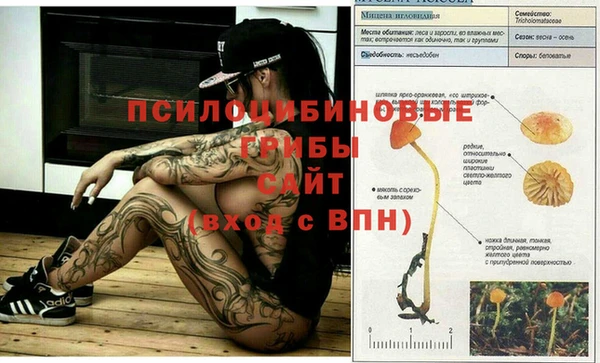 прущие крисы Абаза