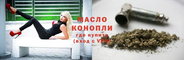 дживик Абинск