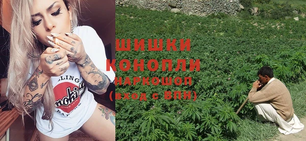 дживик Абинск